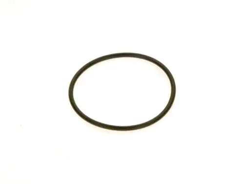 Schwarzer O-Ring von Bosch, ringförmig, auf hellem Hintergrund liegend. Geeignet für Dichtungsanwendungen.